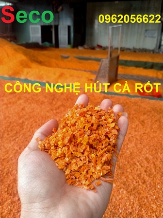 hut-ca-rot-say-kho